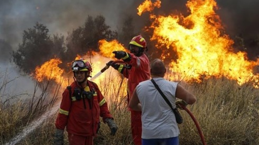 Cháy rừng nghiêm trọng nhất trong lịch sử, Cộng hòa Síp kêu gọi sự hỗ trợ quốc tế